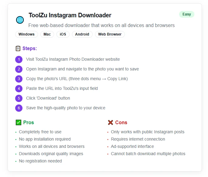 ToolZu Instagram Downloader