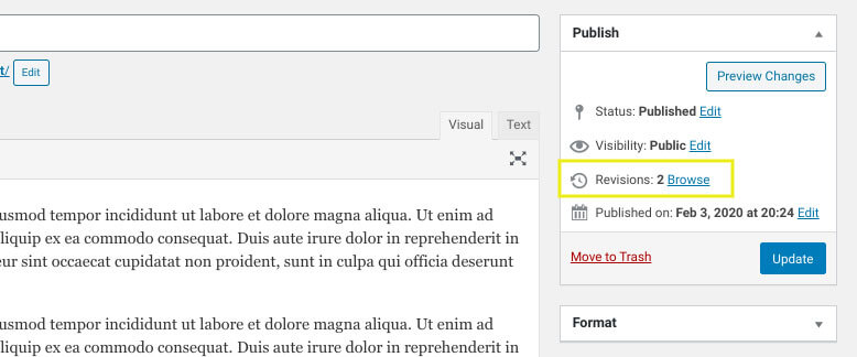 Revisions- Πώς να αφαιρέσετε τις Αναθεωρήσεις Αναρτήσεων στο Wordpress Αναθεωρήσεις-editor-revisions