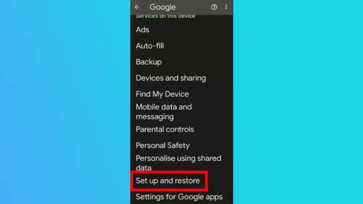 restore with google